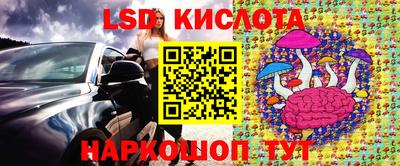 a pvp Славгород