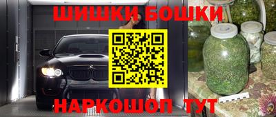 a pvp Славгород