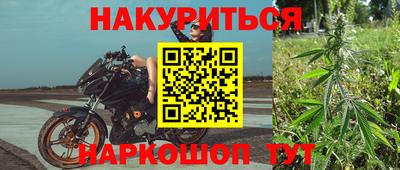 a pvp Славгород