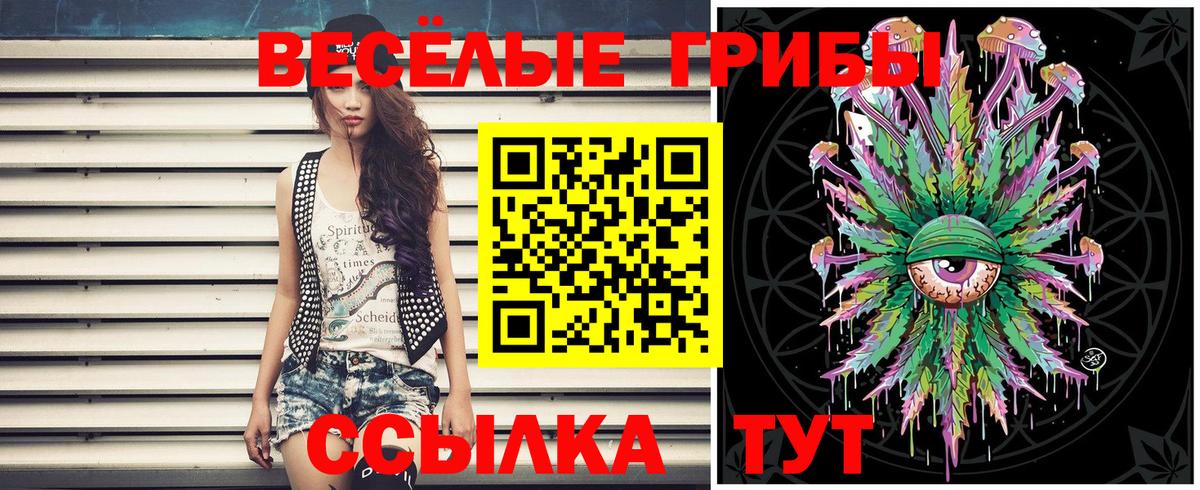 Галлюциногенные грибы Cubensis  Вход с VPN  Октябрьский 